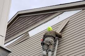 Best Siding for New Construction  in East Troy, WI